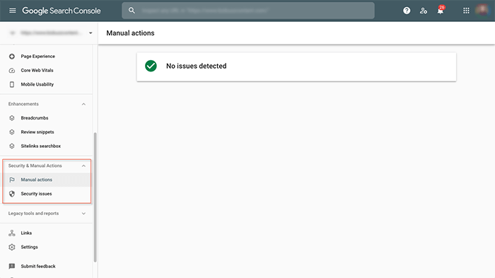 Security and manual actions reports, Google Search Console.